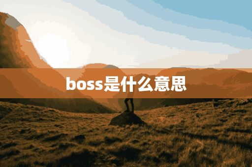 boss是什么意思(boss是什么意思英语翻译)